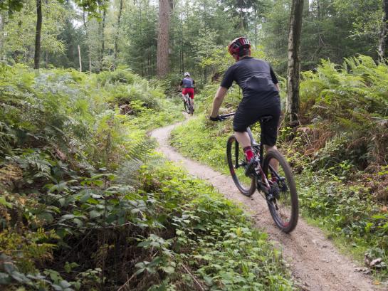 mountainbike