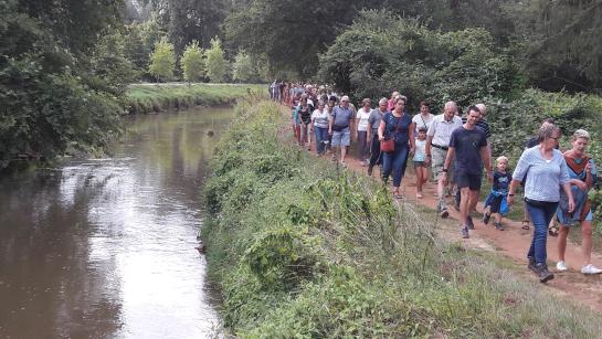Grote Nete - zomer