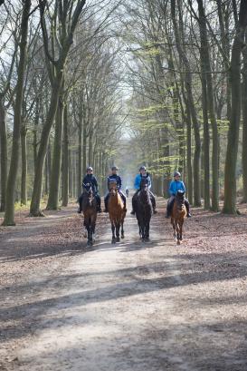 ruiters beeltjensdreef-copyright Ilse Prinsen