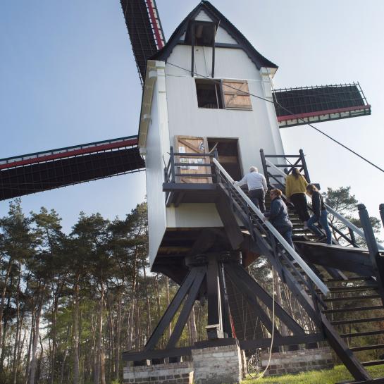molen