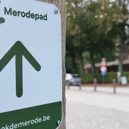 merodepad bord